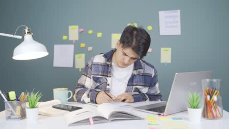 Der-Schwindlige-Männliche-Student.