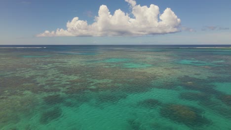 relaxing slow moving aerial shot over coral on vacation in pacific ocean