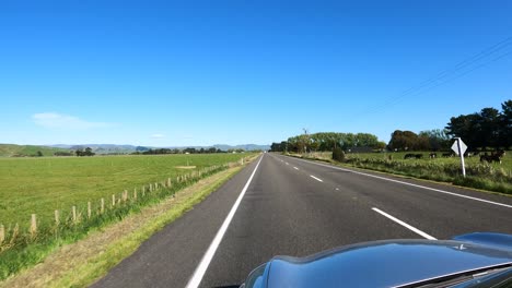 Car-Driving-On-Asphalt-Road-Through-Green-Fields-In-New-Zealand-On-A-Sunny-Day-With-Blue-Sky-Scenery