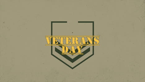 veterans day with military star and lines on grunge camouflage pattern