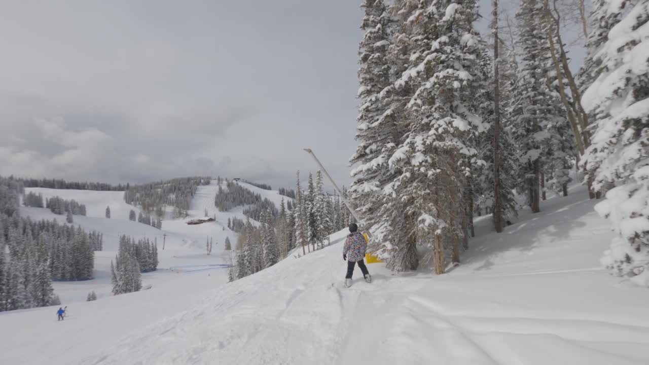 Snowboarder uomo che fa carving tra gli alberi sulla neve fresca