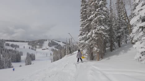 male rider carving between trees on fallen snow on his snowboard