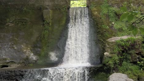 bosque pacífico cascada zen cámara lenta cascada de agua fresca que fluye inclinar hacia arriba