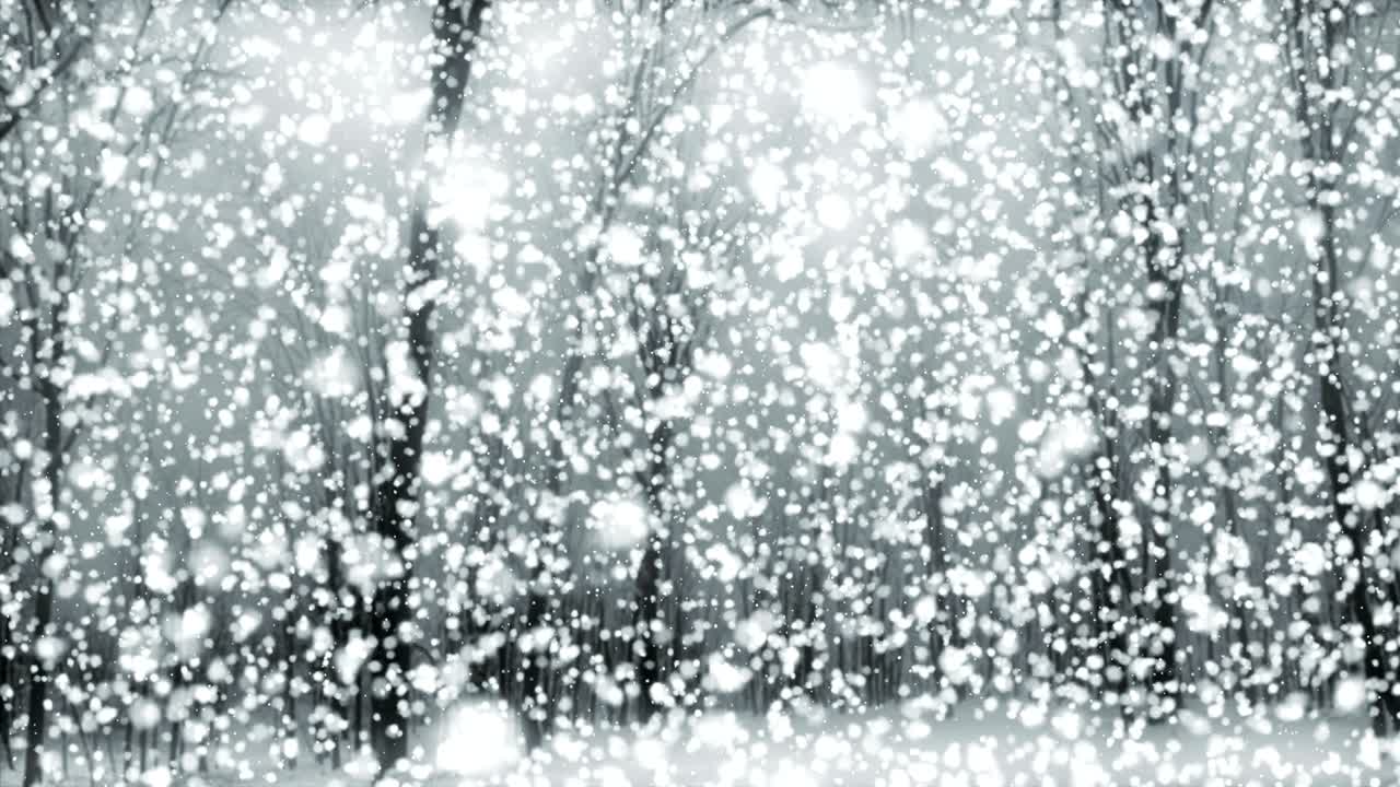 la nieve mágica gris - 4k 60fps atmosférico poético de invierno video de fondo bucle