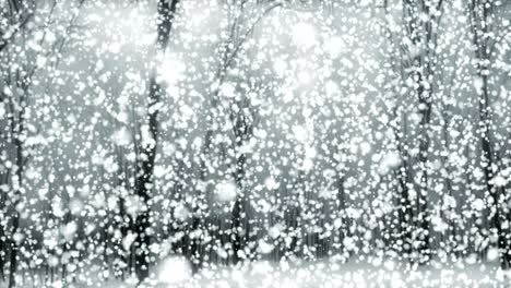 la nieve mágica gris - 4k 60fps atmosférico poético de invierno video de fondo bucle