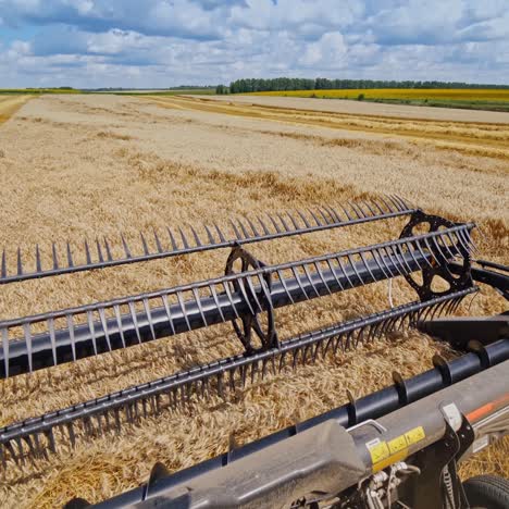 combine harvester works on a beautiful landscape of nature. metal part of agricultural machine on the field during seasonal works.