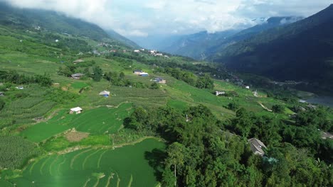drone pans right above rice terraces next to dense green forest and hills in northern vietnam