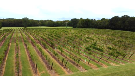 Ariel-shot-of-Vineyard-with-windmill-in-Clemmons-NC