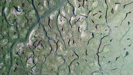 aerial: descending shot over textured green marsh, crofty, gower, 4k drone