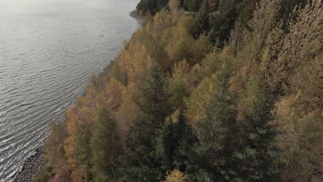 Autumn-scenic-forest-by-lake-shore,-dolly-shot