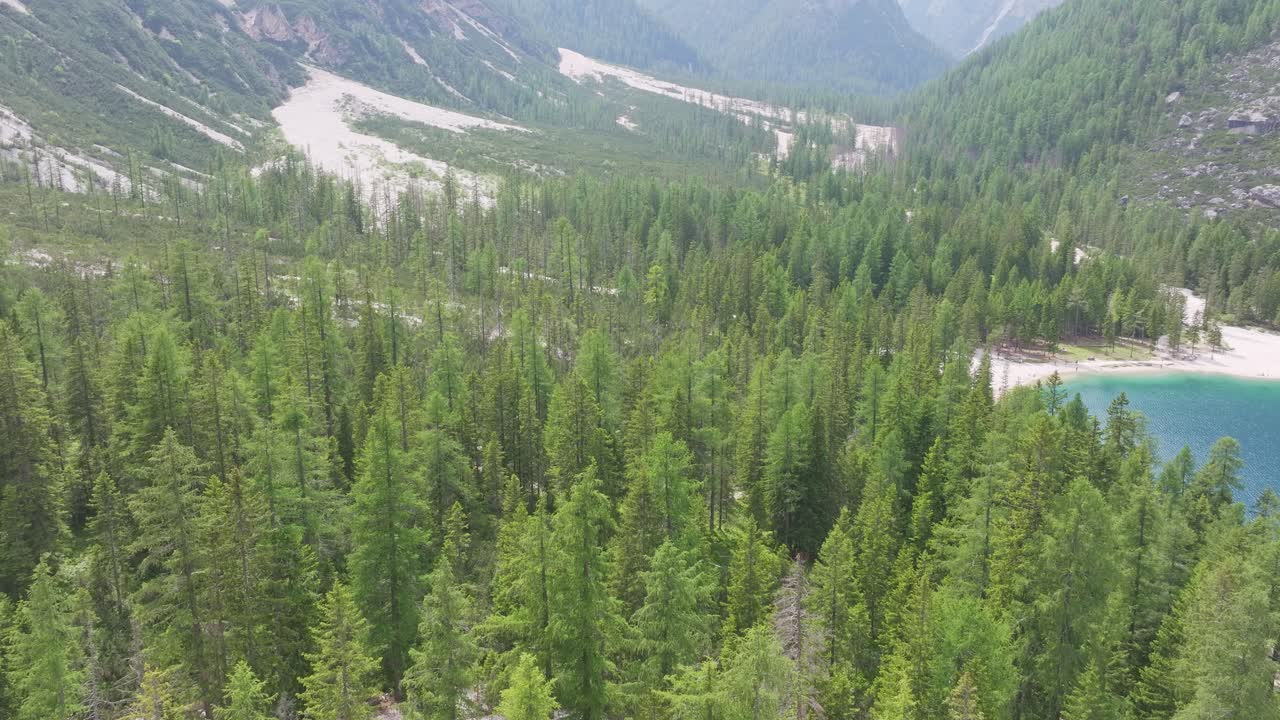 paisaje de bosque verde en las dolomitas italianas