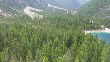 paisaje de bosque verde en las dolomitas italianas