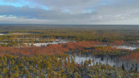 Vast-flat-landscape-with-trees-in-autumn-fall-and-fresh-snow-on-ground