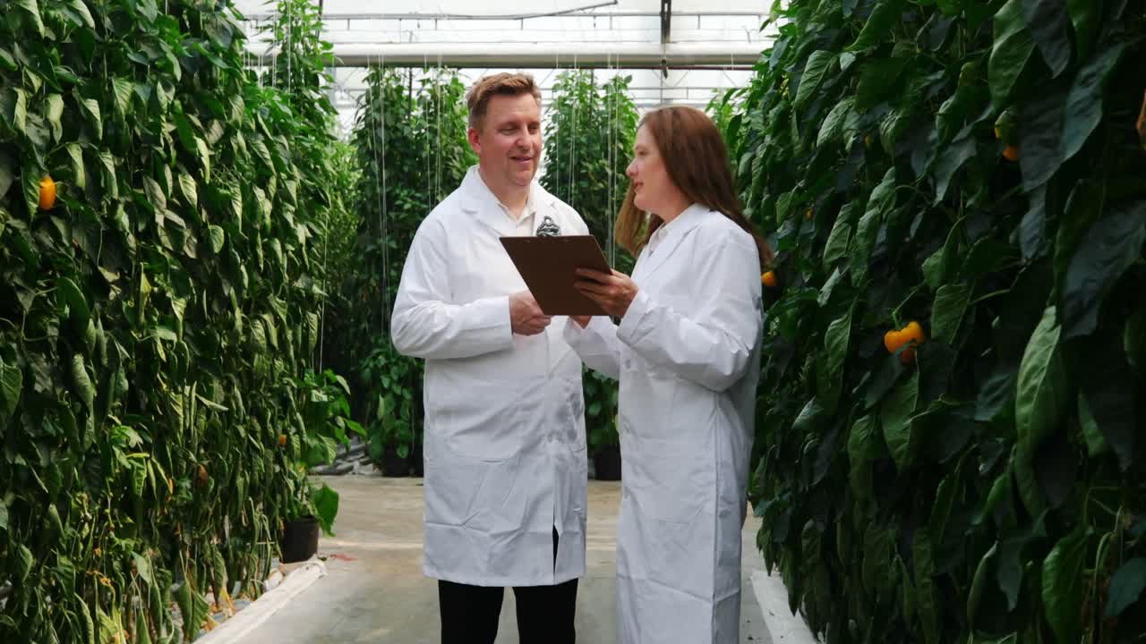 científicos discutiendo sobre el clipboard en el invernadero 4k