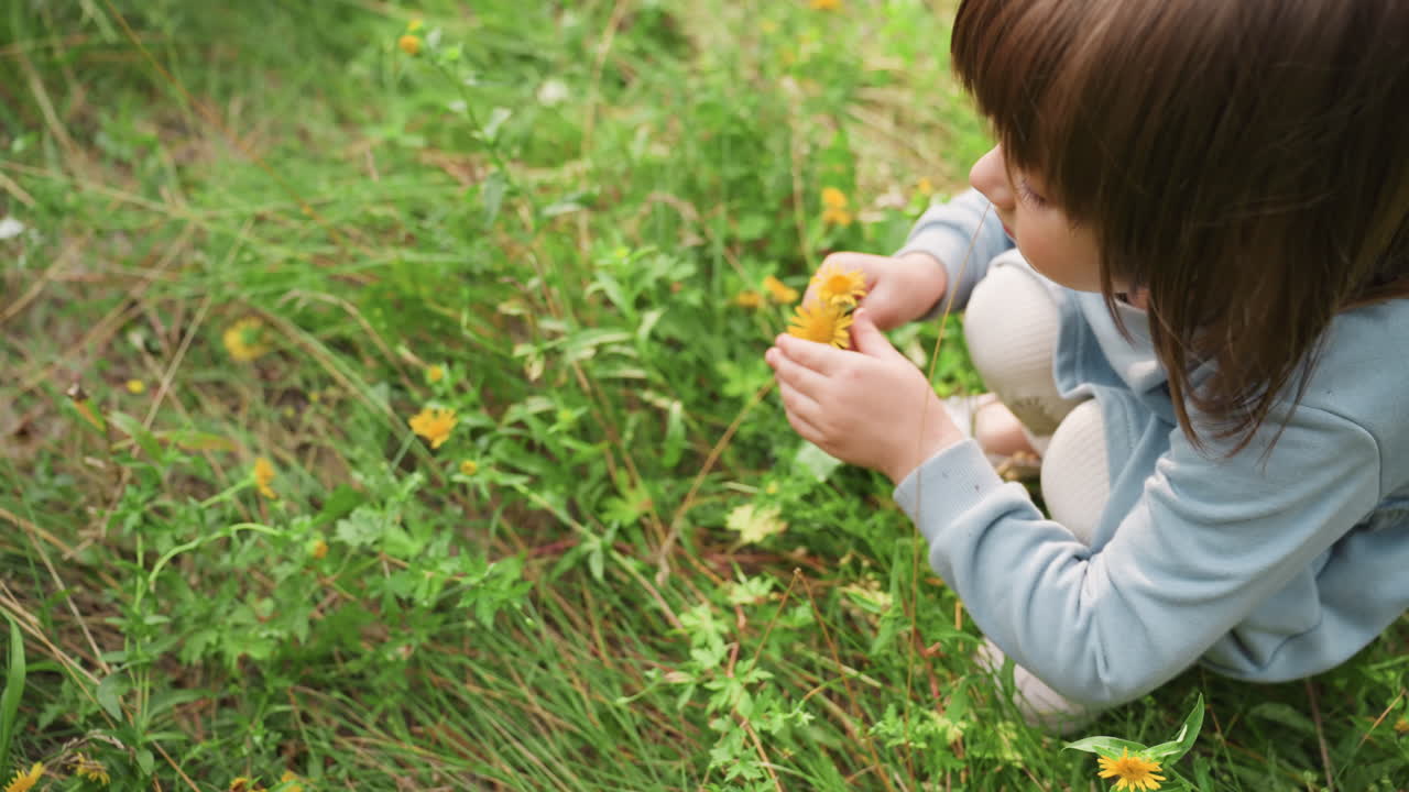 Aerial view of little girl squatting in tall green grass holding yellow bouquet, looking curious and thoughtful while surrounded by summer nature and sunlight, capturing childhood wonder
