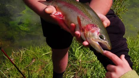 a man is holding a rainbow trout with someone sticking their finger in the fish's mouth. (slow motion)