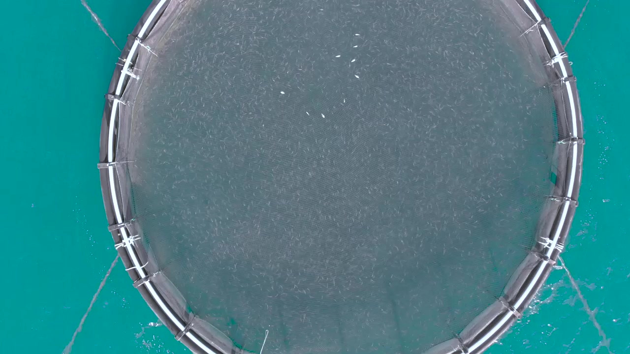 Shot over fish farms in the Mediterranean sea of Malta
