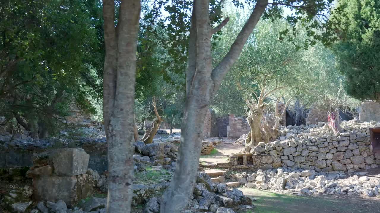 Rovine di Antico Uliveto