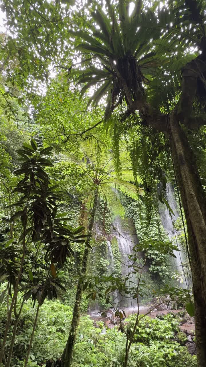 Giungla tropicale rigogliosa con cascata e fogliame verde vibrante