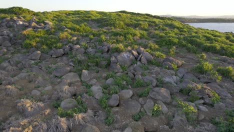 Paisaje-Con-Vegetación-De-La-Isla-Cook-Con-Vista-De-Fingal-Head-En-La-Distancia