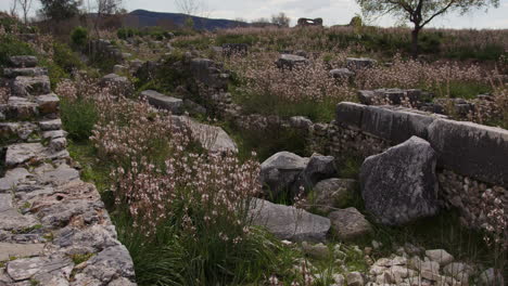 stone walls in field in miletus