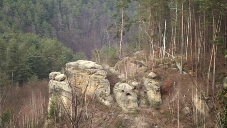 hillside boulders overlooking kokorin wilderness in czech republic, slow pan