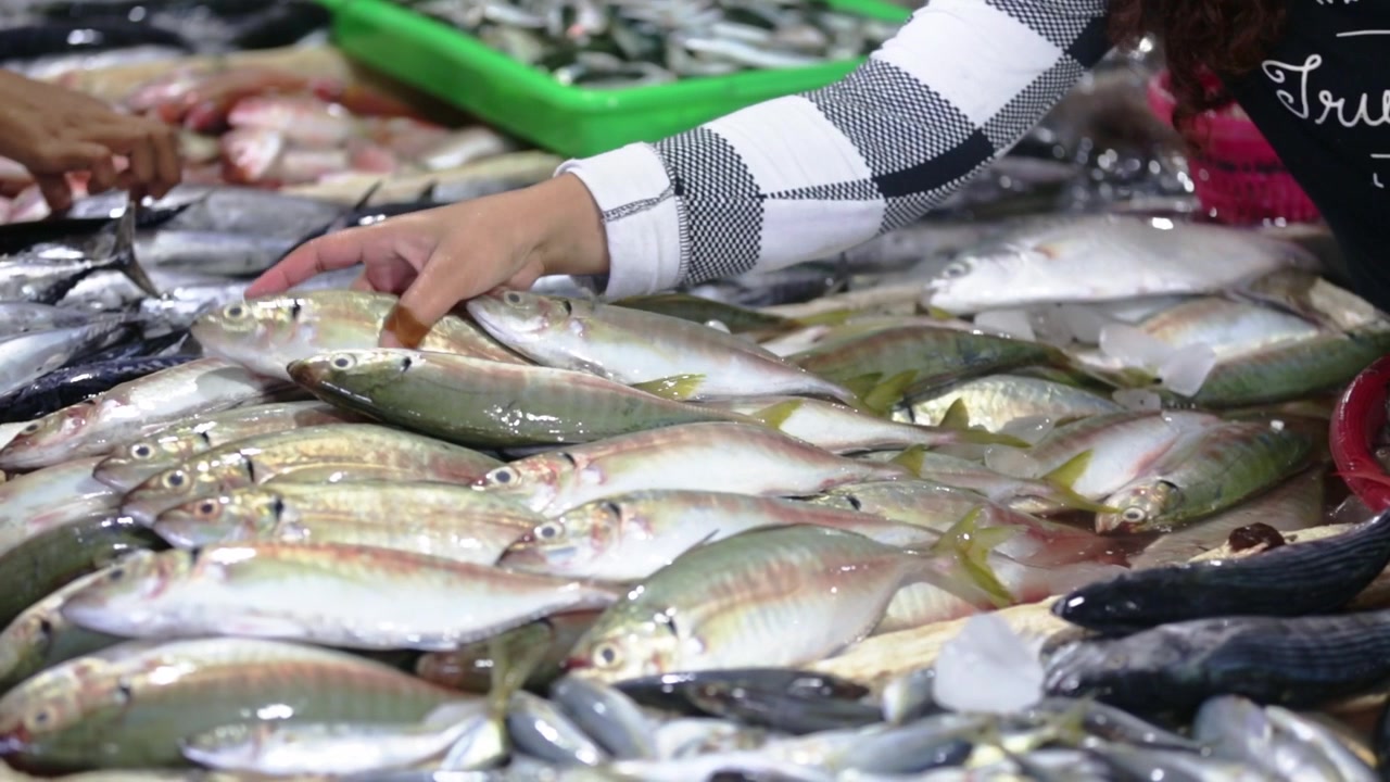 A colourful selection of freshly caught fish is displayed on ice at a busy local fish market, showcasing the variety and diversity of marine life available from nearby waters.
