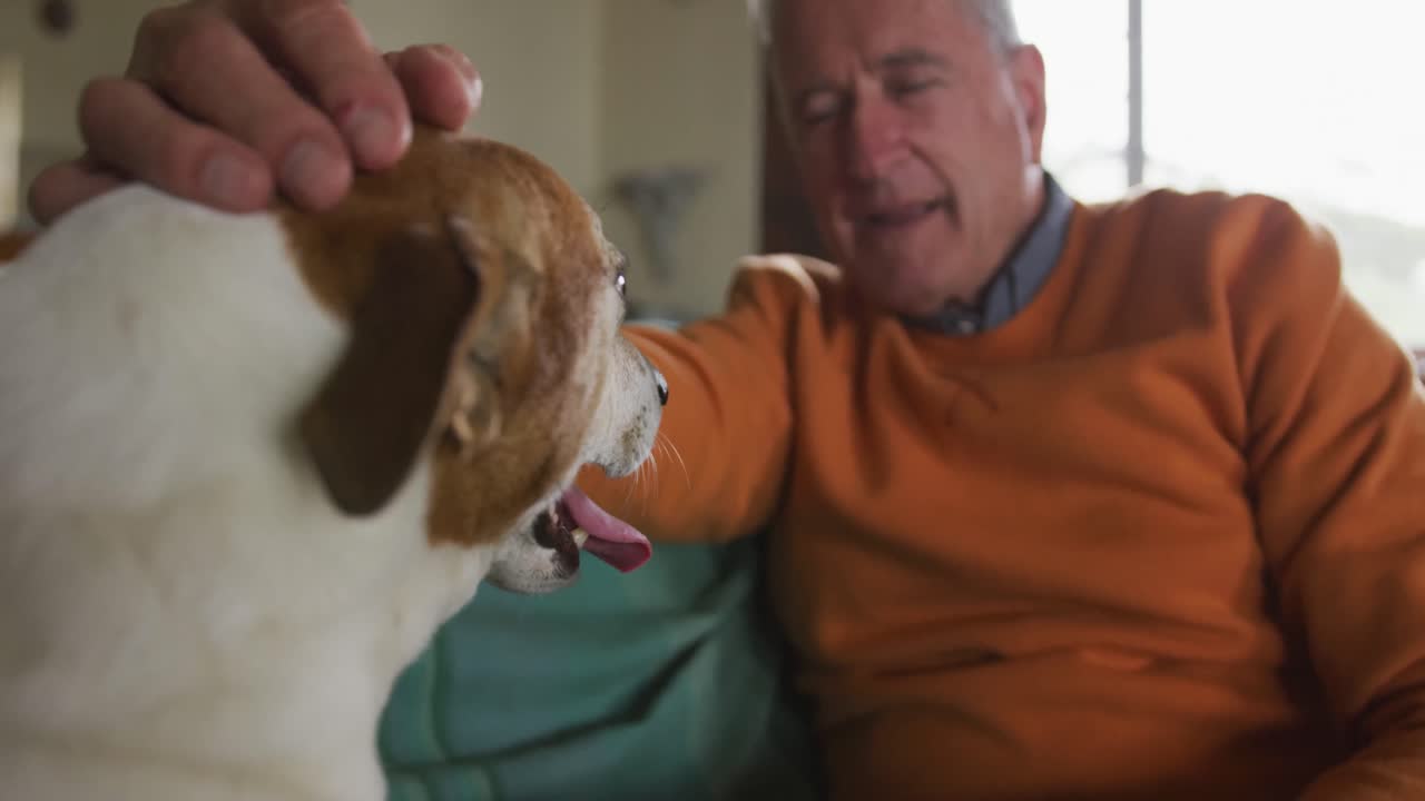 집 에서 소파 에 있는 고령자 와 그 의 개