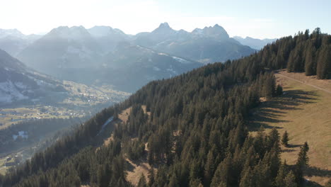 aerial of forest on mountain slope