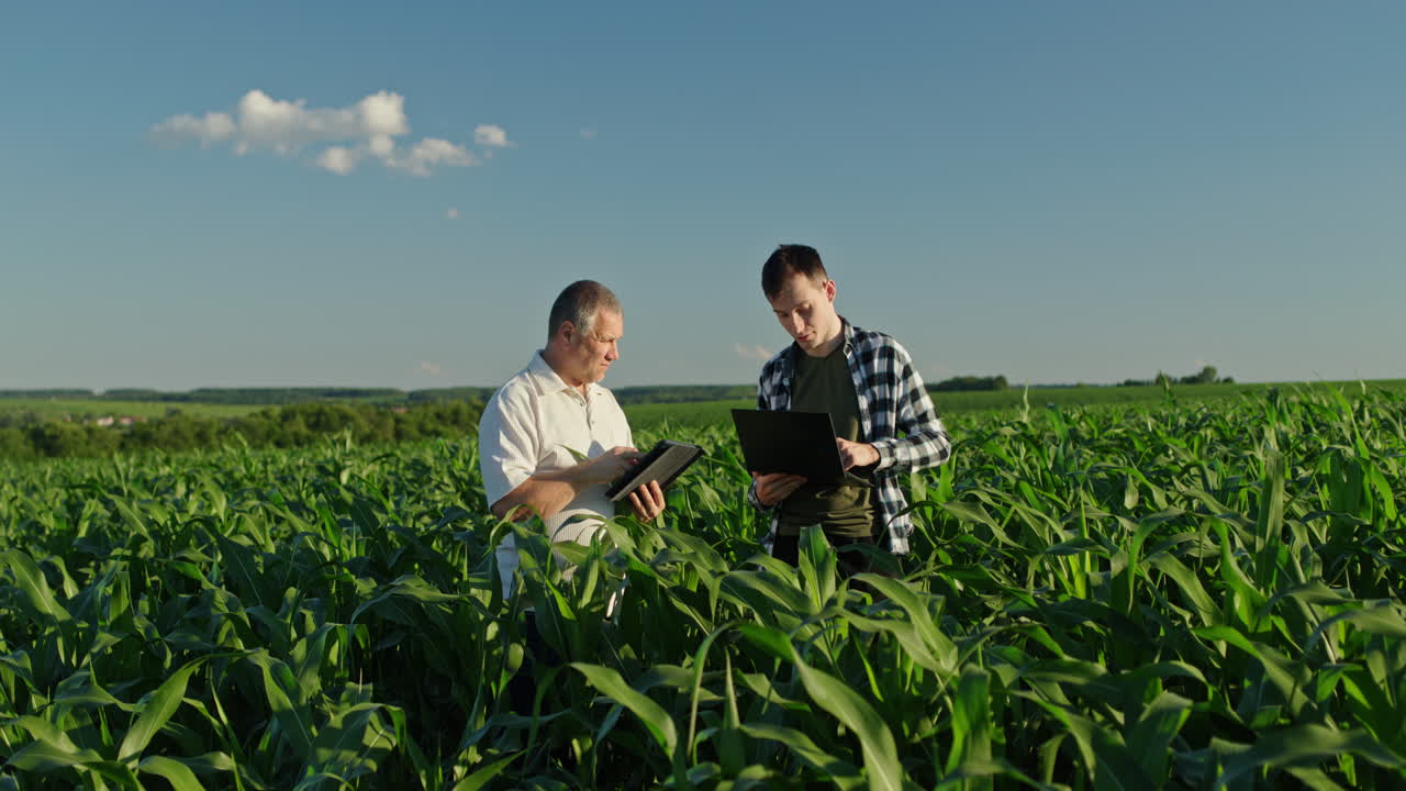 agricultores inspeccionando el campo de maíz con tecnología