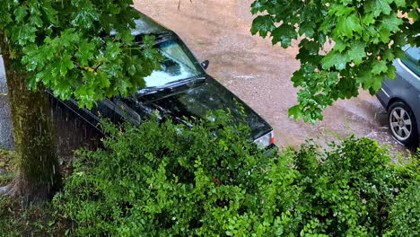 rain pouring down on parked cars beneath a tree - high angle shot