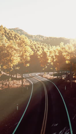 winding road through an autumn forest