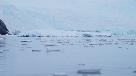 icebergs and glaciers in antarctica