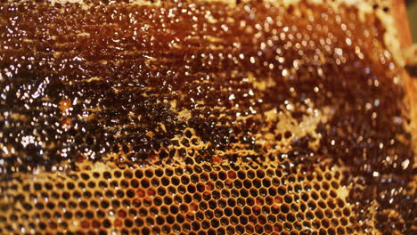 the beekeeper strips wax and produces honey