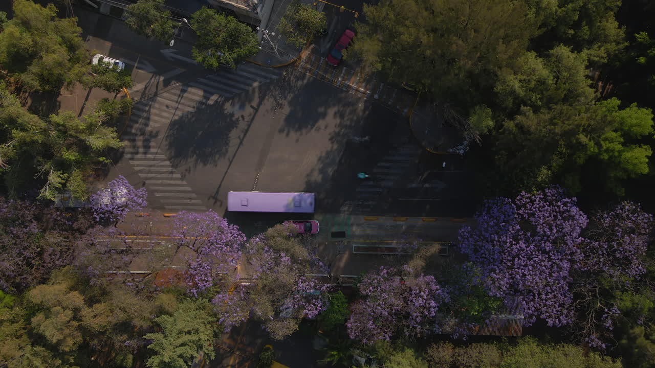 에어리얼 정적 상하 버스 자동차 오토바이 운전 수도 멕시코 시티의 교차로에서 교통