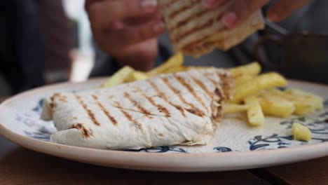 delicious grilled turkish doner sandwich with fries