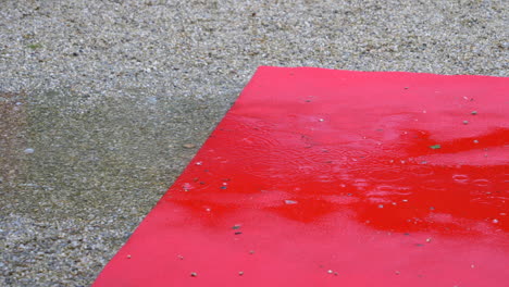 detail of rain on red carpet