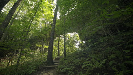 Estático-De-Exuberante-Bosque-Caducifolio-Con-Gran-Arco-De-Piedra-Natural-En-El-Fondo,-4k