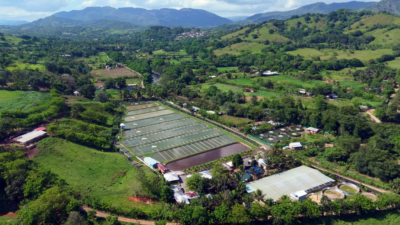 Extensive aquaculture ponds, fish farm or hatchery, nestled in lush green hills, Dominican Republic. Aerial drone panoramic view