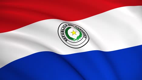 the national flag of paraguay