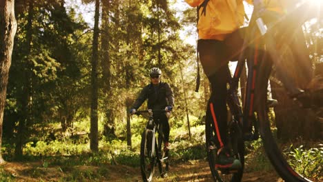 Mountain-biking-couple-riding-in-the-forest-on-a-sunny-day