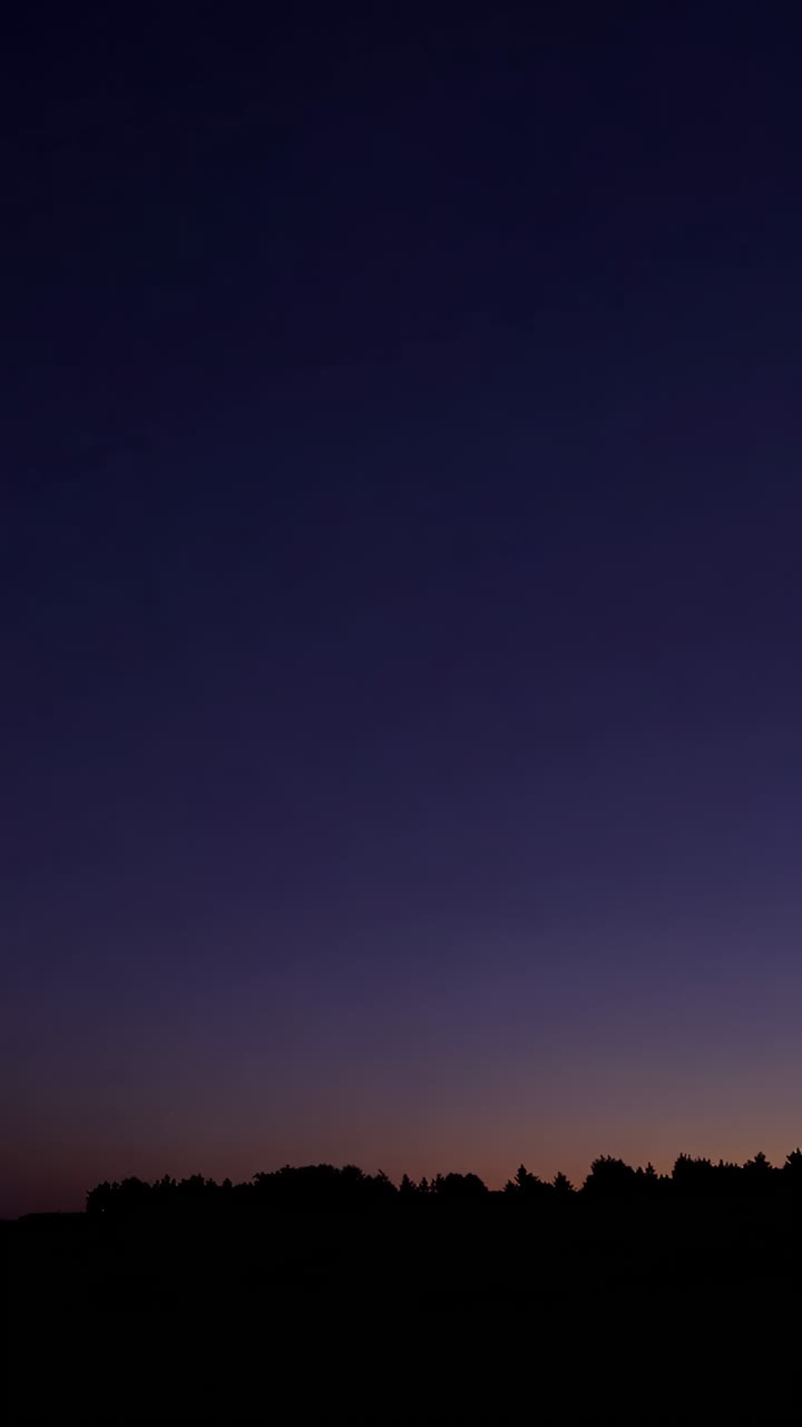 Sunrise or Sunset over Trees