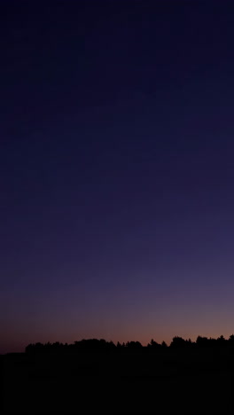 Sunrise or Sunset over Trees
