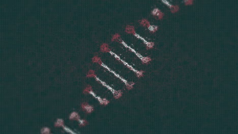 animación de la cadena de adn sobre un fondo negro