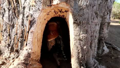 cazador-recolector entra en un árbol baobab a través de un enorme agujero para recoger agua tocando el árbol