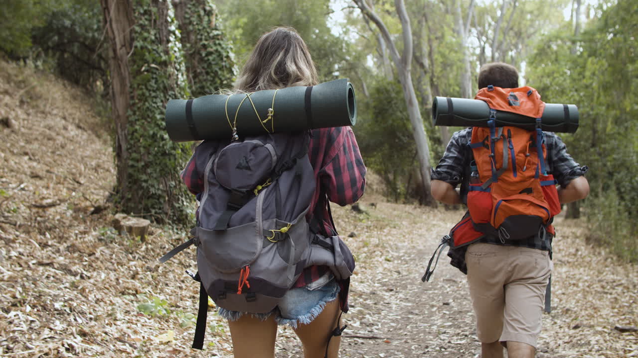 숲길을 걷는 백패커들의 뒷모습