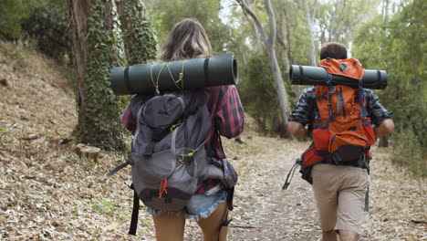 rear view of backpackers walking on forest footpath