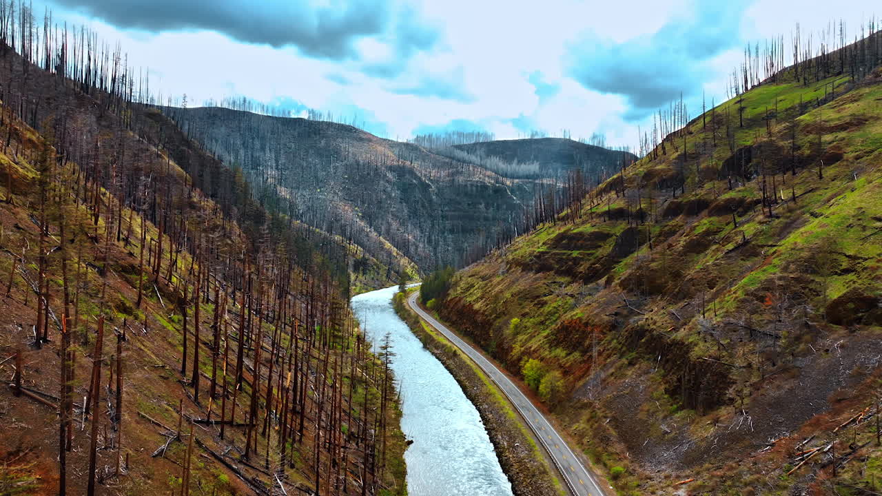 Flying above the river flowing among the mountains. Trunks of dead trees cover the slopes of rocks.