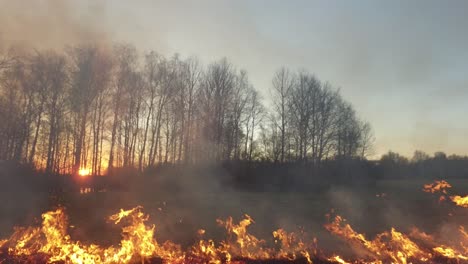 wildfire at sunset