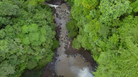 cascada nungnung en medio de bali, indonesia
